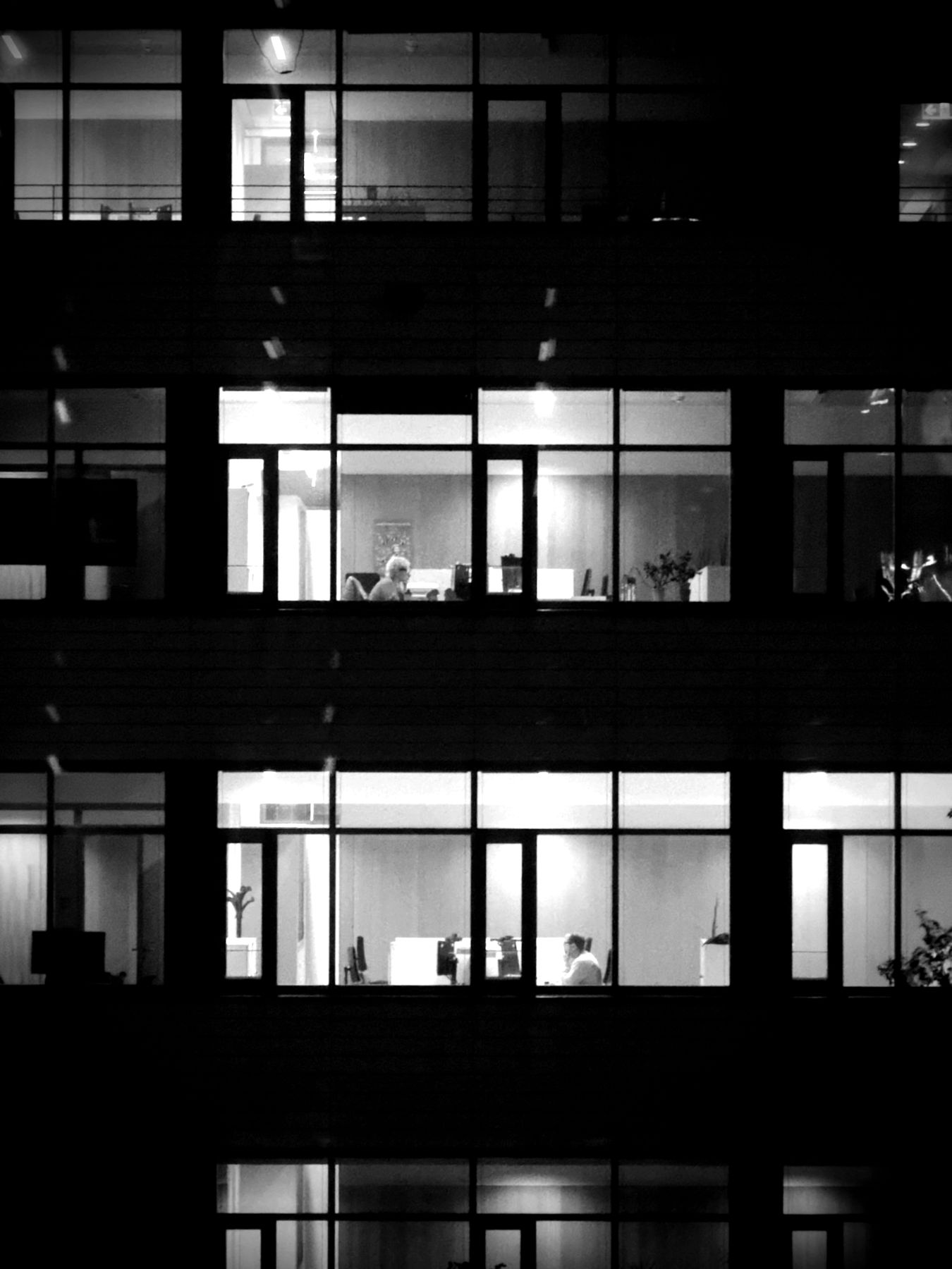 Office windows lit at night