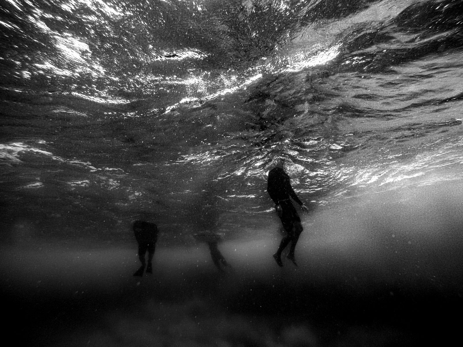 Swimmers seen from underwater